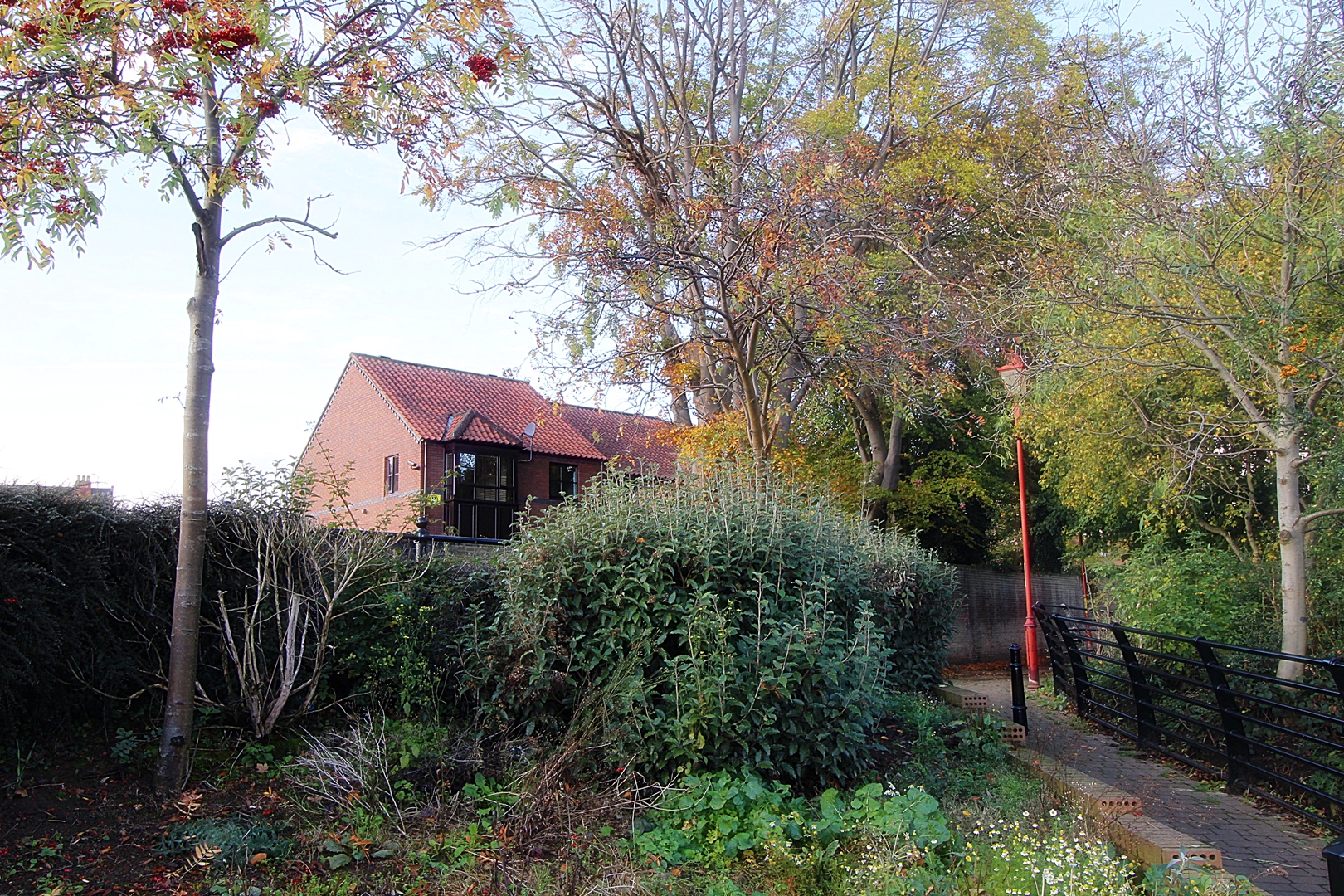 Beechtree Court